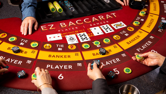 Bacará 555bet